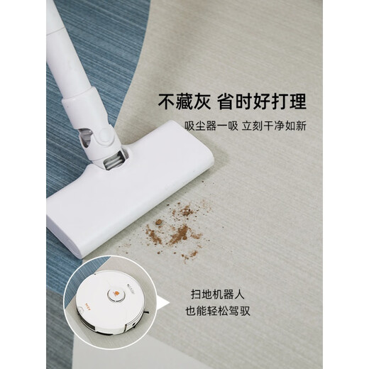 地垫客厅2025新款免洗可擦沙发地毯卧室感家用轻奢防水茶几毯 简约15601号 240*400cm(定制不退不换)