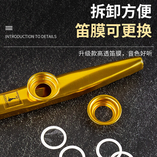 Shanbekazudi Kazoo Metal Guitar Ukulele Accompaniment Unpopular Small Musical Instruments Simple Teeth Protection Model Obsidian Black (Give a gift with lanyard)