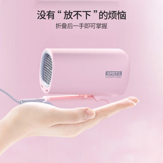 Men's Hair Dryer Electric Hair Dryer Negative Ion Hair Dryer Portable Foldable Dormitory Hair Care Negative Ion Hair Dryer Send Girlfriend New Year's Holiday Gift SH-A102 Girly Powder