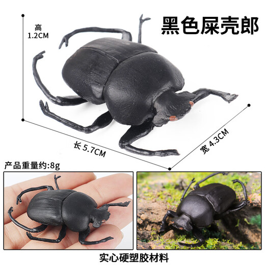 巳溪儿童仿真昆虫玩具动物模型蜜蜂蜘蛛蜻蜓蝴蝶蜈蚣蚱蜢蚂蚁螳螂摆件 M-684巴西红丝绒蜘蛛