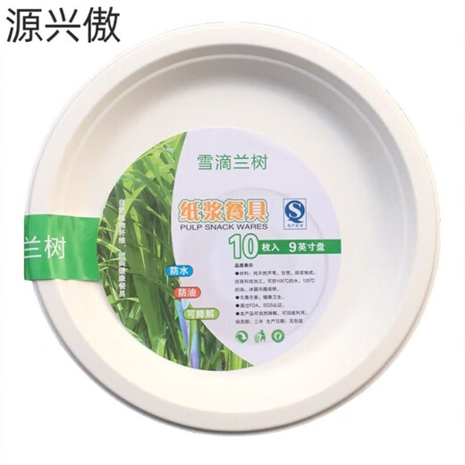 Chanqi disposable dinner plates 6 inches 7 inches 9 inches 10 inches 12 inches thickened paper plates 30cm kindergarten painting handmade diy 12 inches 30 cm paper plates 10 pieces