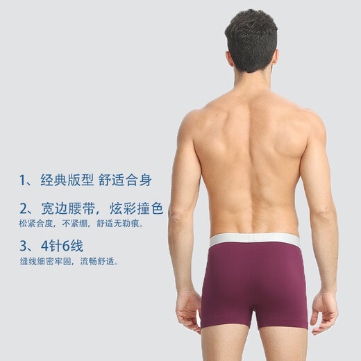 Schister Unterwäsche Männer 2-Pack Deutsche Shumei Baumwolle 20751t Softboxer Shorts Großgröße Herrenunterwäsche 7881 Farbe Blau + Royal Blue (13977t) 2xl