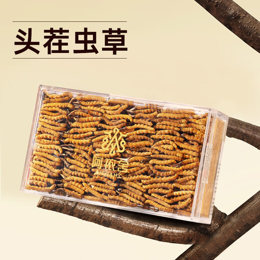 阿依舍冬虫夏草滋补送礼 断虫草 送父母送长辈实惠家庭滋补自用囤货礼盒 大号断草50克【全家滋补佳选】