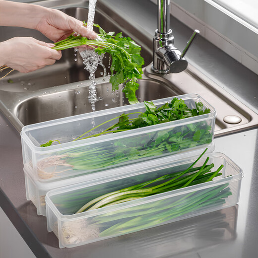 Home KATEI STORY Japanese imported coriander and shallot storage box refrigerator whole coriander root preservation artifact food grade noodles and egg preparation coriander and shallot special box 1.3L 2-piece set