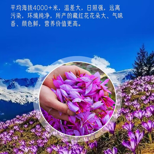 TYROSUR藏红花礼盒送长辈妈妈丈母娘美容养颜礼品礼物年货生日新年礼物 【藏红花】10g