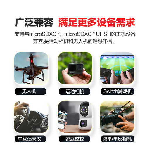 闪迪（SanDisk）256GB TF(MicroSD)内存卡 4K极速金卡A2 V30 U3行车记录仪 运动相机无人机 监控存储卡 读190MB/s