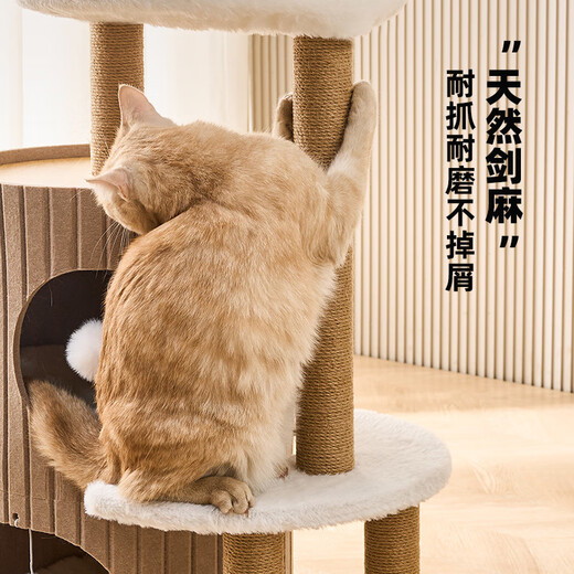 喵丽丝猫爬架家用小户型不占地树洞猫窝一体冬季保暖猫咪双层跳台毛毡桶 【纯驼色】四层猫抓桶组合爬架