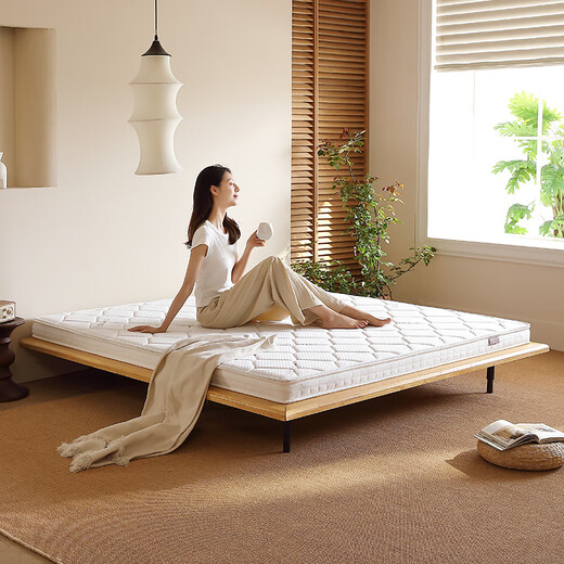 Perlan Natural Coconut Mattress Mattress Hard Pad Palm Pad Latex Ridge защита от тонкой матрасы твердый коричневый пад