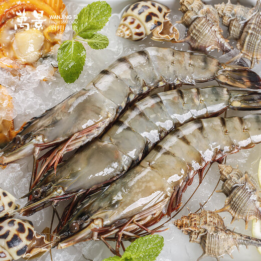 Wanjing Live Frozen Domestic Black Tiger Shrimp (Extra Large) Single Frozen Net Weight 800g/box 13-15 pieces New Year's Eve Goods for Dinners
