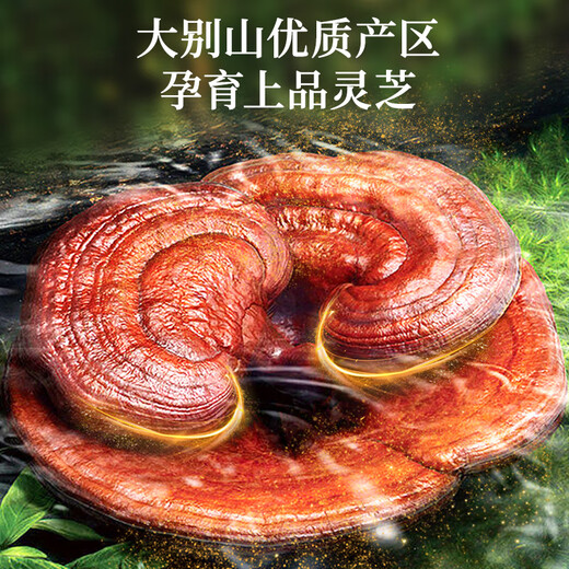 雷允上破壁灵芝孢子粉胶囊 90粒瓶装 术后康复中老年人增强免疫力保健品 孢子粉胶囊1瓶装/破壁率99.9%