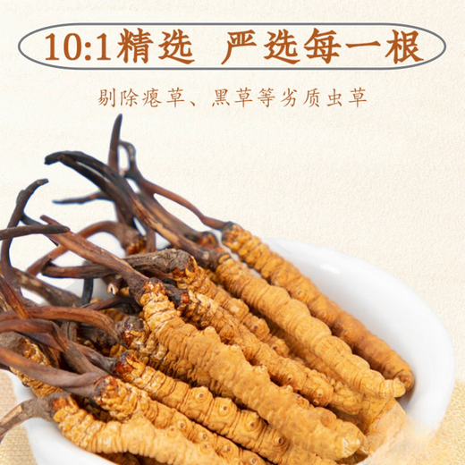 Boîte-cadeau Cordyceps pour les anciens Boîte-cadeau Cordyceps pour les aînés Boîte-cadeau Cordyceps pour les anciens
