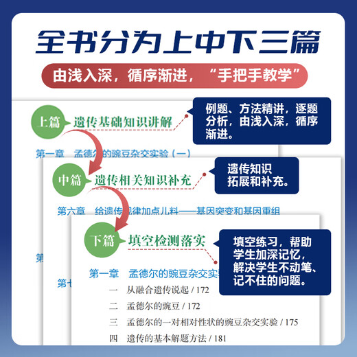 JD.com обеспечивает 2024 г. Хансхуй Чоу учеников средней школы биология базовые знания нулевые основы генетики Руководство по сбору генетики Пота студентов студентов. Биология колледжа. Один и два раунда обзор и образование.
