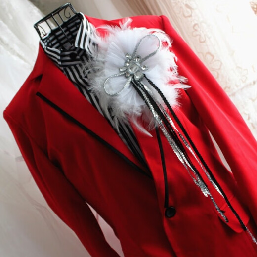 Library selection nightclub bar singer performance jewelry brooch feather corsage flash diamond retro competition exaggerated corsage badge for men picture color M15