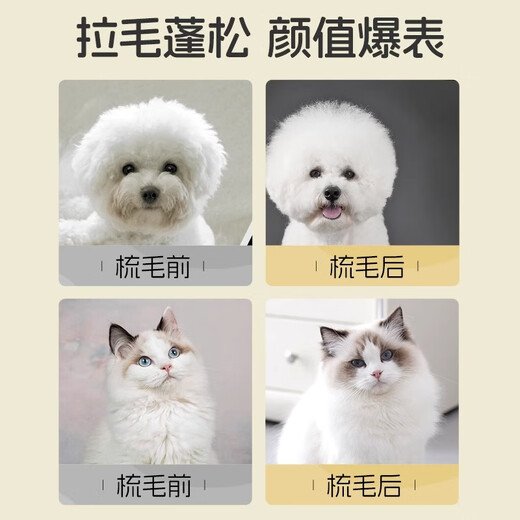 Beiyipin cat comb, pet hair brush, special dog hair and cat air cushion needle comb, Teddy Bichon dog fluffy artifact
