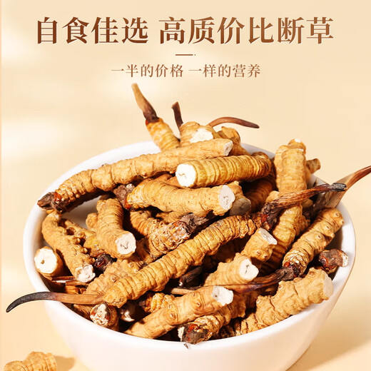 Yuanjiang Grass Cordyceps sinensis Selección de Cordyceps vulgaris Paquete asequible para suplementos nutricionales de edad avanzada para regalos de autoalimentación 100 gramos de hierba rota