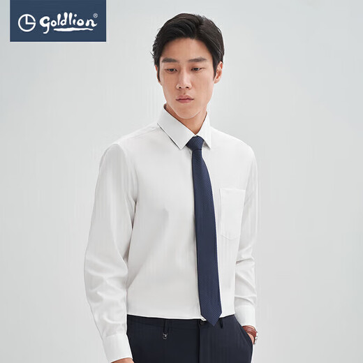 Jinlilai [nanofreies Eisen/Anti-Falten] Frühling und Herbst Langarm Shirt Herrengeschäftshemd Solid Color-White 00L1 L