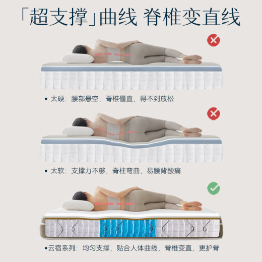 
Lin Pengjia Pin Lin Peng Yunsu Spring Mattress Simmons Natural Latex Ridge Protection Waist Protection Jute Coconut Brown Hard Cushion 1.8x2m F Sales Star Moderately Hard Support Ridge 22cm 1350mm*2000mm