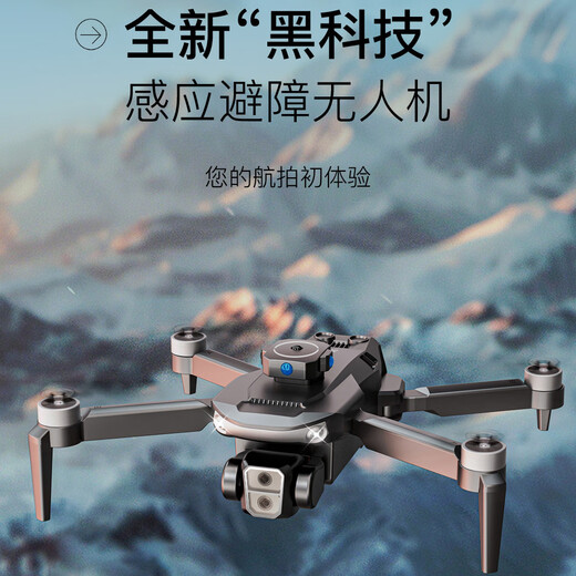 Beast Drone Drohne Luftfotografie HD Flugzeug optischer Fluss Unbemannte Fotomodellflugzeug Flugzeug Langstreicher intelligenter Fernbedienungsflugzeug SG101 Schwarzer Dual-Batterie