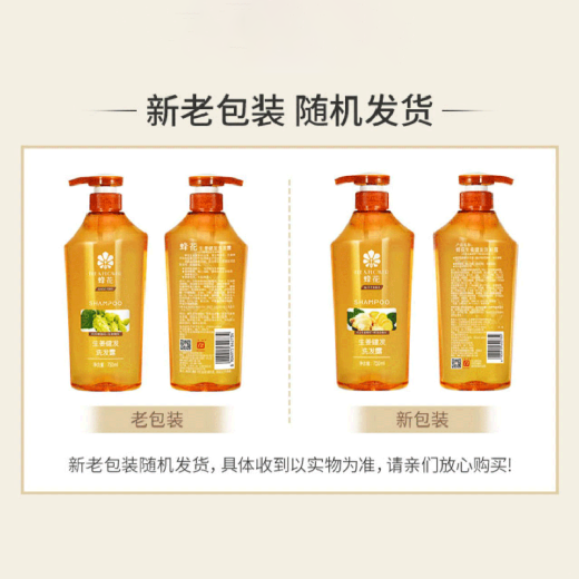 El champú sin silicona de la flor de abeja mejora el frizz y el cabello sano de jengibre esponjoso 600ml*1 botella