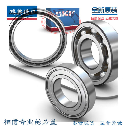SKF importierte Lager 6206 6207 6208 6209 6210 6211-2z 2RS1/C3 Other 62072RS1 Gummi-Dichtung