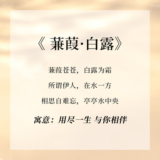 Central Chuang Fashion China Gold Authorized Jianjia Silver Ring Couple Ring for Male and Female Couple Birthday Gift for Girlfriend and Wife