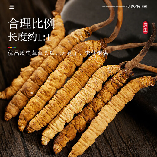 福东海冬虫夏草4克礼盒 精选东虫草无断草高品质整草干度足滋补送礼长辈 【礼盒】冬虫夏草4g礼盒【特级#16管】