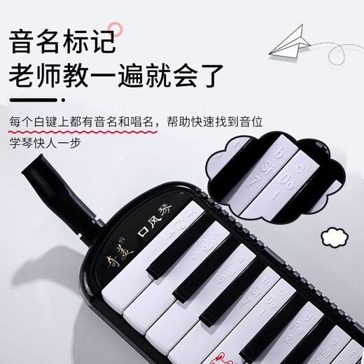 Chimei Free Engraving DHS Mouth Organ 37 Key Beginner Instrument for Classroom Teaching for Primary and Secondary School Students 37 Key Pink + Full Set of Gifts