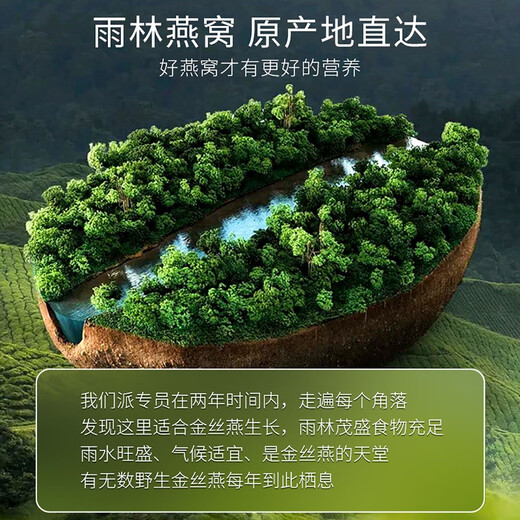 【溯源认证】孕妇燕窝干盏印尼马来特级干燕窝碎老年人营养品礼盒 印尼10A特级燕盏20盏 礼盒燕窝机