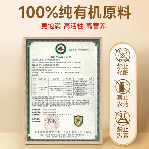 同仁堂破壁灵芝孢子粉增强免疫力探病礼物滋补营养品端午节礼物60g/盒