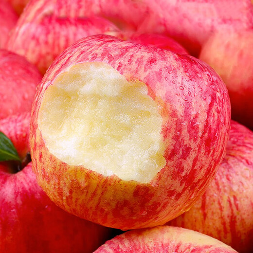 Shawo Shuguang Shaanxi Luochuan Red Fuji Apple Fruit Fresh Crispy Sweet Rock Candy Heart Seasonal Ugly Apple Fruit Fresh Preferred 4.5 Jin [Jin equals 0.5 kg] Pack 70-80mm