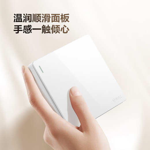 BULL oberflächenmontierte große Panel-Schaltsteckdose G59-Serie, Ein-Ein-Einzelsteuerschalter G59K111