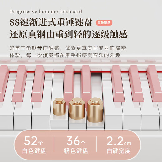 贝琪电钢琴88键成人儿童便携钢琴入门家用初学者电子钢琴-B851白粉键