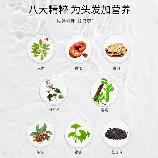 蒂花之秀（DIFASO）男女士八植调养洗发水乳去屑止痒控油持续留香超值家庭装 八植调养洗发水乳去屑止痒200g