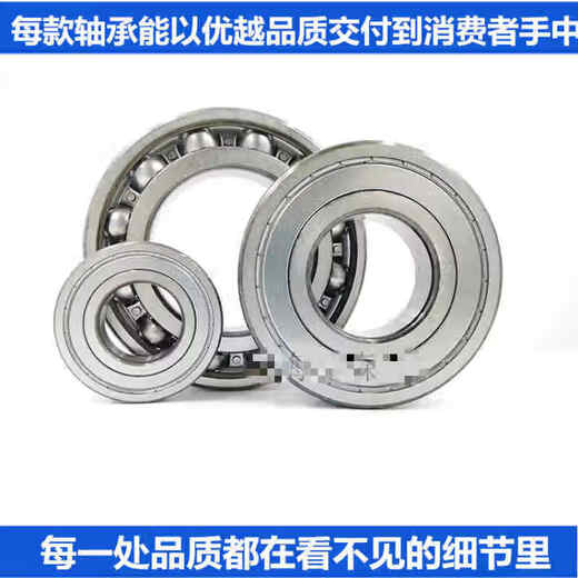 进口轴承 6220 6221 6222 6224 6226 6228 6230 2Z 2 6228/C3 其他