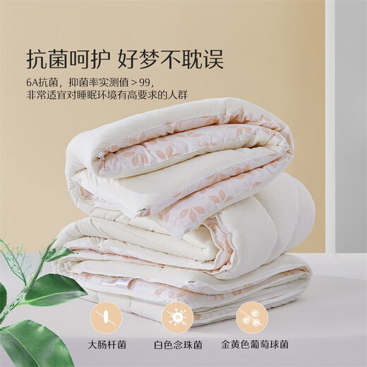 Mercury Home Textile Class A Corn Fiber Thickened Winter Quilt About 9.4 Jin [Jin equals 0.5 kg] 220*240cm Powder