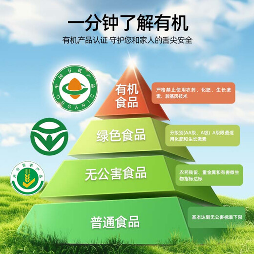 河西女子 有机枸杞原浆500ml*6礼品盒 中宁正宗头茬枸杞不添加 送长辈礼物