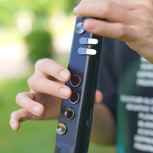 Zhujiang Aimosen AE300 Hair Tube New Musical Instrument Charging Children's Young, Middle-aged and Elderly Beginners' Saxophone Hulusi Performance AE300 Black (Give Textbook Book)