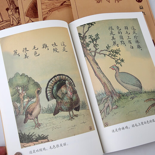 Livres d'image des enfants d'origine moderne et moderne chinois: Bibliothèque pour enfants un épisode 10 Volumes 14225 ** 5 Dolphin Publishing House