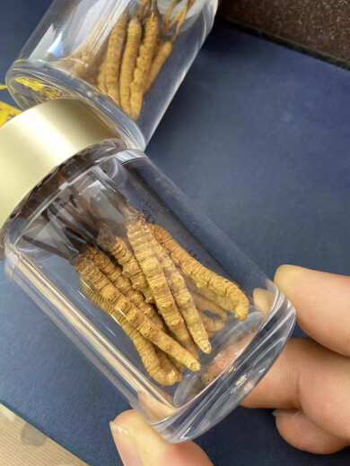 Eryabei Authentic First Cordyceps Cordyceps Reinigen großen echten frischen Cordyceps 2025 ausgewählte Trockenwaren Cordyceps 10 große High-End-Acrylflaschen