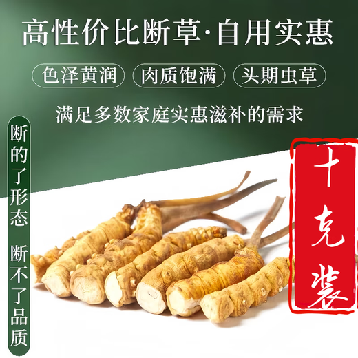 [Support-Qualitätsinspektion] 10 Gramm großer gebrochener Gras authentisch Cordyceps sinensis cordyceps sinensis cordyceps sinensis cordycep