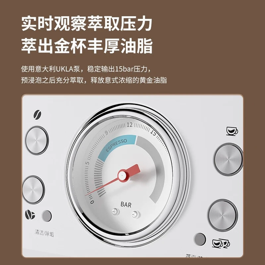 柏翠意式咖啡机家商用全半自动研磨一体机小型奶泡机双泵双炉 PE3899 送礼 星光海盐白