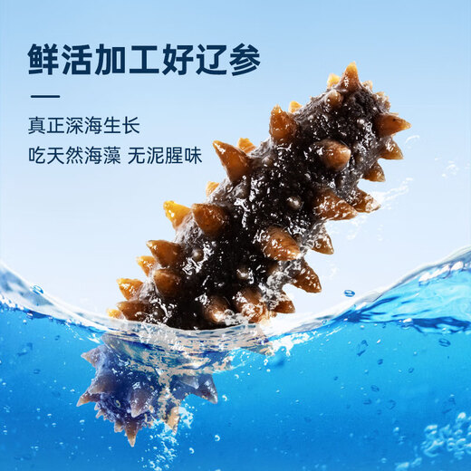 Fresh Jingcai Jingdong Fresh Private Brand Dalian Ready-to-Eat Sea Cucumber 1Jin Jin is equal to 0.5kg, 8-10 pieces, solid content exceeds 75%