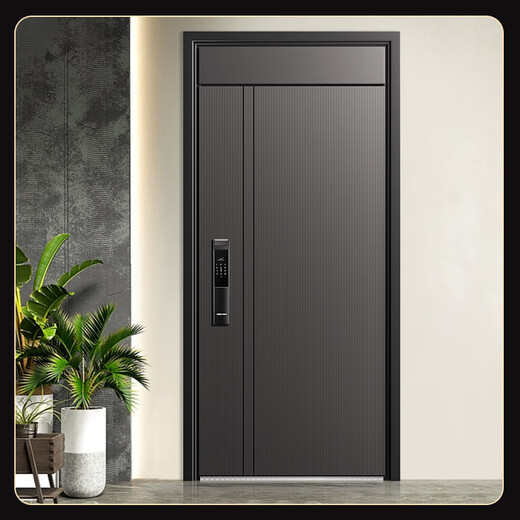 OUDILE (OUDILE) Hochwertiger Klasse A Security Door Entrytor Goled +2050*1050/2150*960 +Mechanisches Schloss
