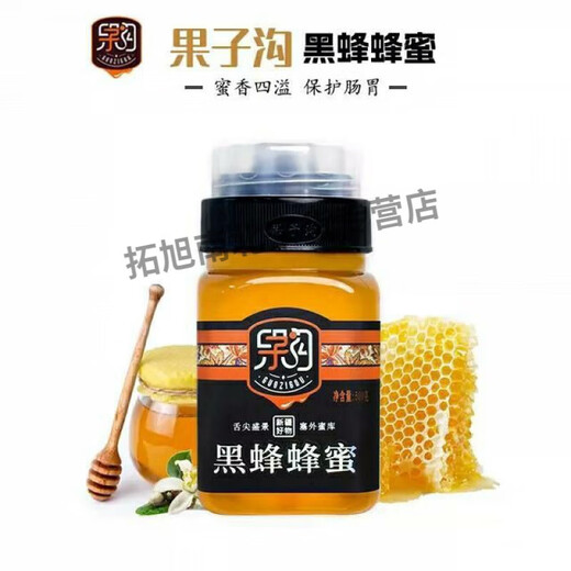 Guozigou Xinjiang Guozigou Black Honey Special Raw Honey Nourishing and Beauty Convenient Bottle 1 Bottle (500g)
