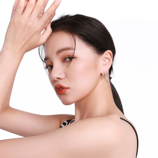 Qlady Rose Same Style Earrings Feminine High-end Large Earrings 2025 New Light Luxury Silver Needle Earrings Birthday Gift