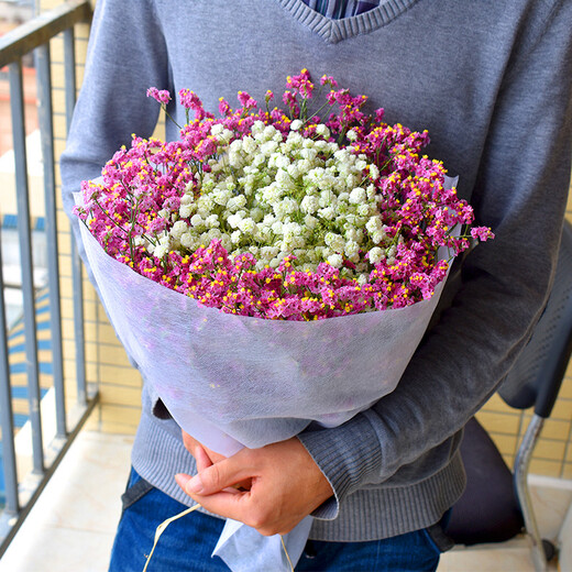 AIMAN dried gypsophila bouquet for home decoration, living room and bedroom decoration, flower arrangement, eternal freshness, birthday gift with vase, white gypsophila + glass bottle, dried flower bag