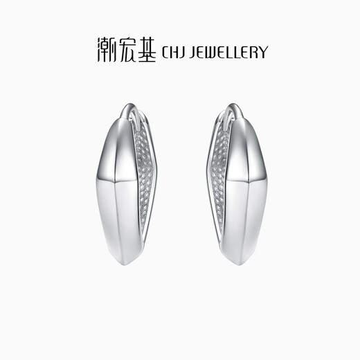 Trendy Acer Royal Fan Geometry PT950 platinum earrings women's earrings birthday gift pricing single model about 1.4g