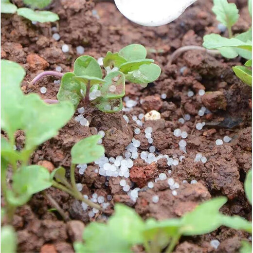 Urea fertilizer for growing vegetables, organic fertilizer, quick-acting nitrogen fertilizer, chemical fertilizer for flowers, urea fertilizer, general compound fertilizer, urea, high-purity urea fertilizer, 1 Jin Jin is equal to 0.5 kg