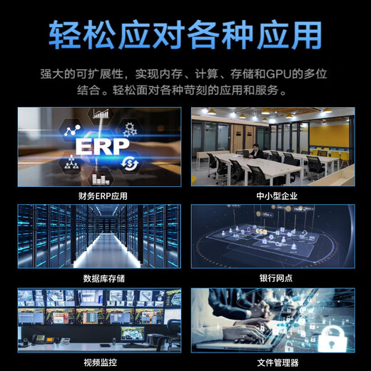 戴尔（DELL）R250服务器机架式 财务办公ERP打印网络存储电脑 奔腾G6405T 双核 16G丨1T硬盘