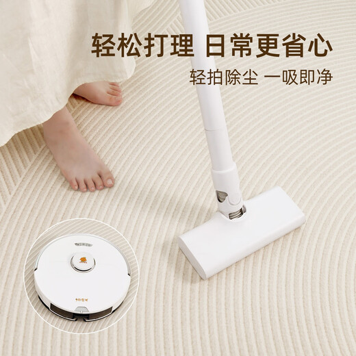 Derenkafu-Marke Teppich Wohnzimmer 2024 neuer Tea-Tischdecke ohne Waschen und löschbares High-End-Sofa großer Fläche wasserdicht 16868 240*360 cm (geeignet für 4 Personen oder L-förmige Sofa)
